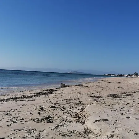 Apartment 300 Meters From The Sea