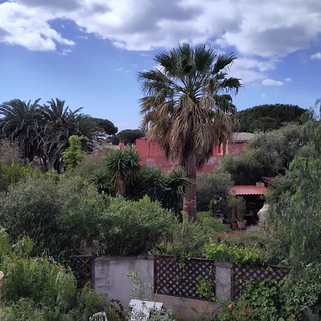 300 Meters From The Sea *
