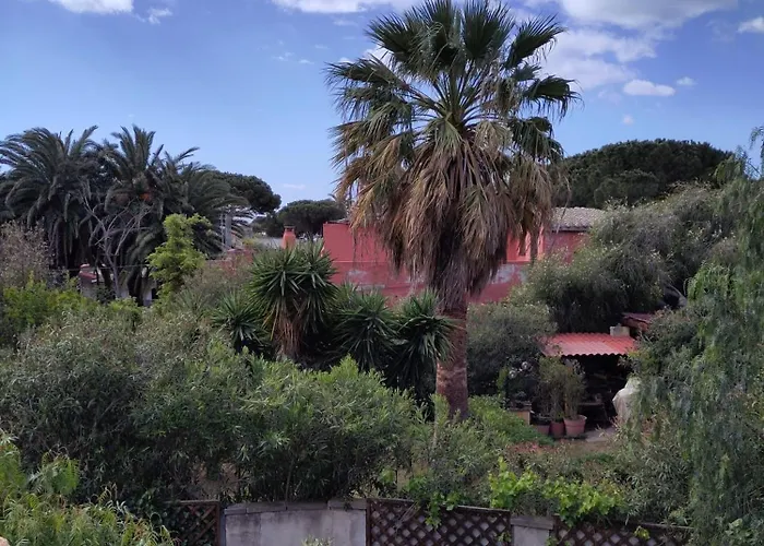 300 Meters From The Sea *